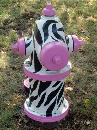 Zebra - 519 S. Euclid